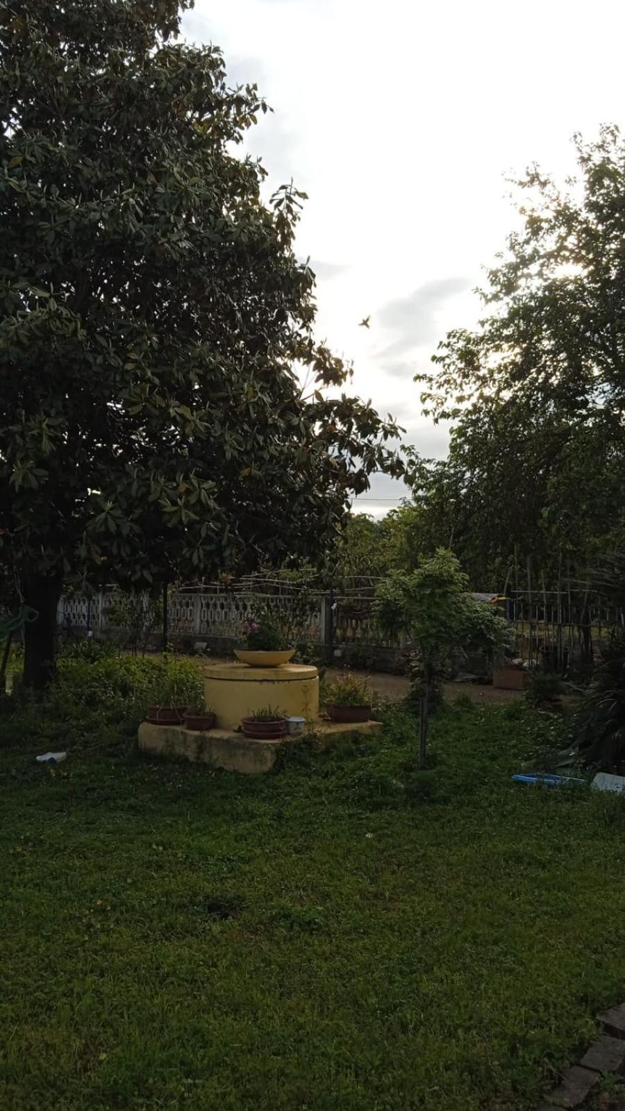 Apartament Casina Maria Rzym Zewnętrze zdjęcie