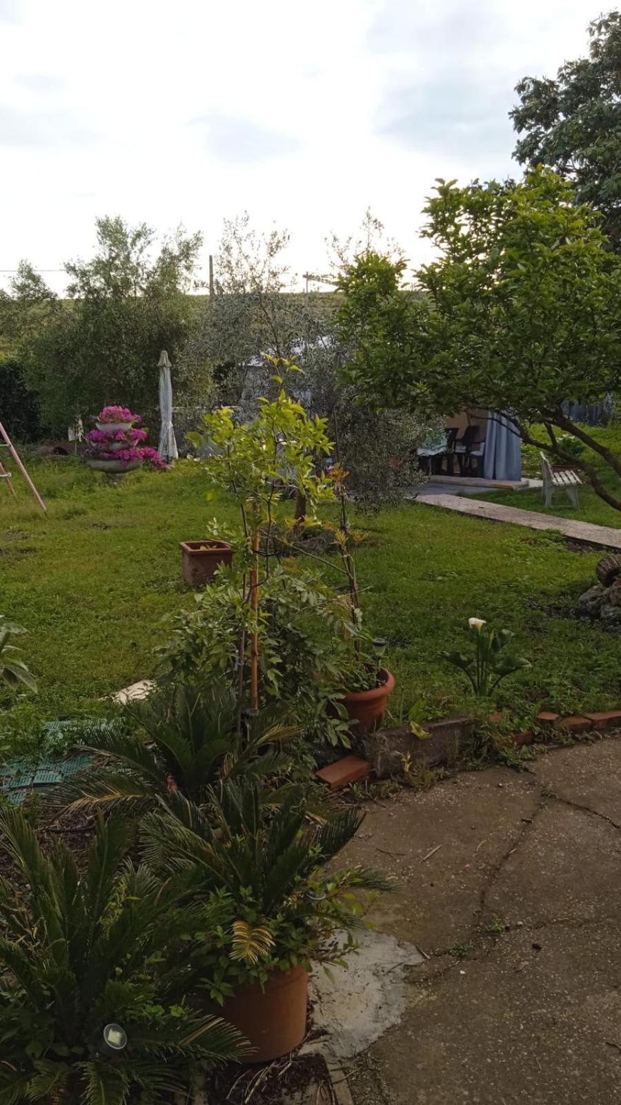 Apartament Casina Maria Rzym Zewnętrze zdjęcie